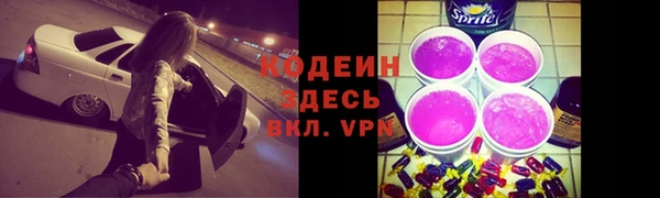 прущий лед Алзамай