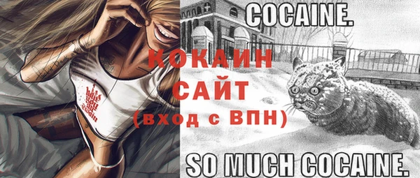 apvp Алексин