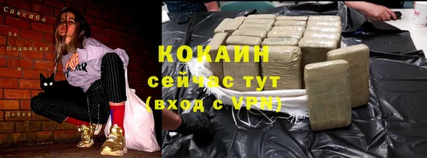прущий лед Алзамай