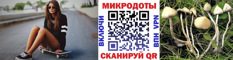 Галлюциногенные грибы MAGIC MUSHROOMS  KRAKEN tor  Андреаполь  что такое наркотик 